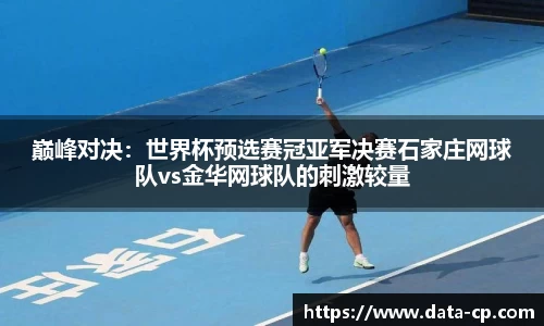 巅峰对决：世界杯预选赛冠亚军决赛石家庄网球队vs金华网球队的刺激较量